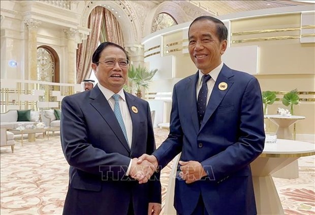 El primer ministro de Vietnam, Pham Minh Chinh (izquierda), y el presidente indonesio, Joko Widodo. (Fotografía: VNA)