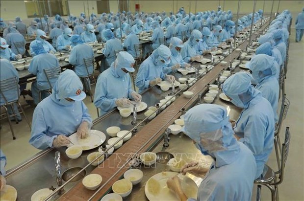 Empresas vietnamitas fomentan inversiones para exportar nidos de golondrina. (Fotografía: VNA)
