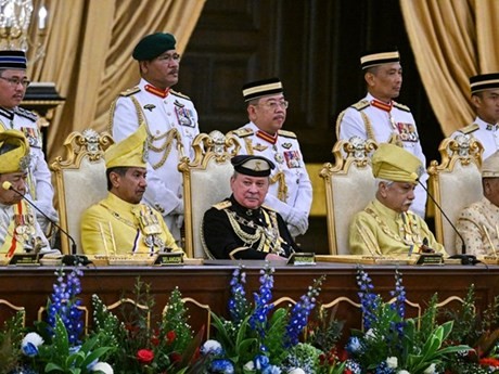 El sultán Ibrahim Iskandar (con negro traje). (Fotografía: AFP/VNA)