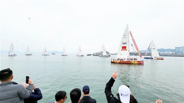 Equipos de vela de Clipper Race comienzan nueva etapa. (Fotografía: VNA)