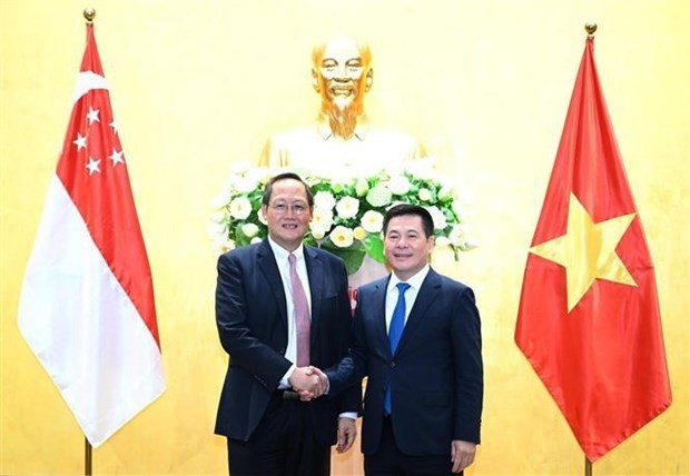 El ministro vietnamita de Industria y Comercio, Nguyen Hong Dien, y el segundo ministro de Comercio e Industria de Singapur, Tan See Leng. (Fotografía: VNA)