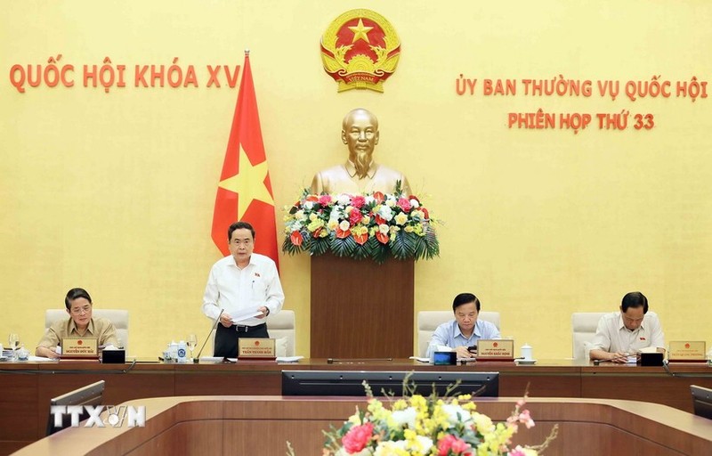 El vicepresidente permanente de la Asamblea Nacional, Tran Thanh Man, en la reunión. (Fotografía: VNA)