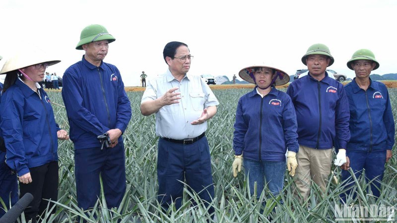 El primer ministro Pham Minh Chinh visita la finca de piña de Dong Giao. (Fotografía: Nhan Dan)