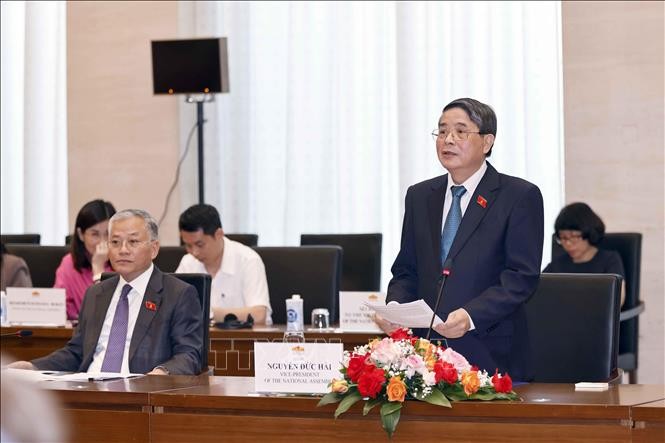 El vicepresidente de la Asamblea Nacional de Vietnam Nguyen Duc Hai habla en la reunión. (Fotografía: VNA)