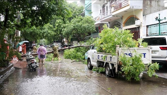 La provincia de Ha Long se centra en aliviar consecuencias de tormenta Prapiroon. (Fotografía: VNA)