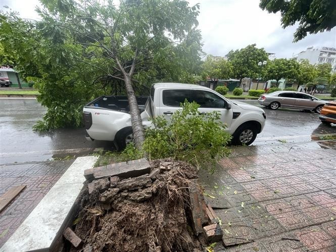 Consecuencia de la tormenta. (Fotografía: VNA)