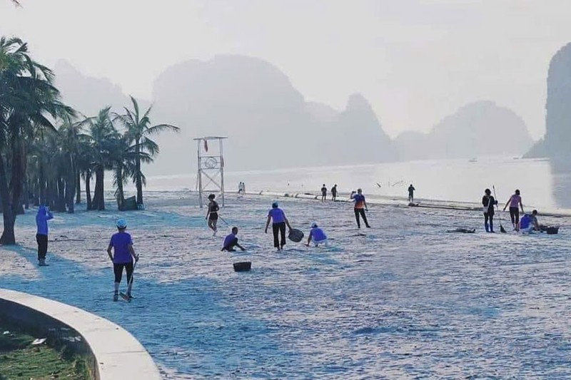 Pobladores recogen basura en la ciudad de Ha Long. (Fotografía: hanoimoi.vn)