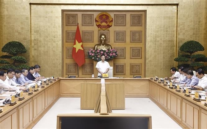 El vice primer ministro Le Thanh Long habla en la reunión. (Fotografía: VNA)