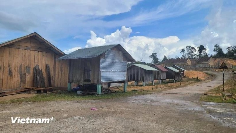 En el distrito de Kon Plong, de la provincia de Kon Tum, en la Altiplanicie Central de Vietnam. (Fotografía: VNA)