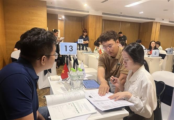 Empresas surcoreanas investigan oportunidades de hacer negocios en Ciudad Ho Chi Minh. (Fotografía: VNA)