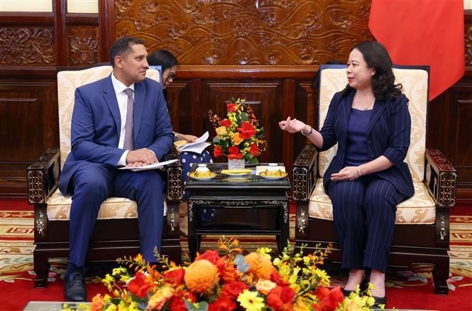 La vicepresidenta de Vietnam, Vo Thi Anh Xuan, recibe al embajador sueco, Johan Ndisi. (Fotografía: VNA)