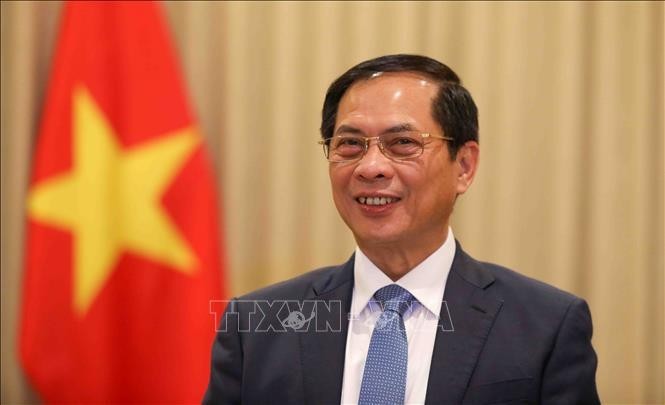 El vice primer ministro y titular de Relaciones Exteriores de Vietnam, Bui Thanh Son. (Fotografía: VNA)