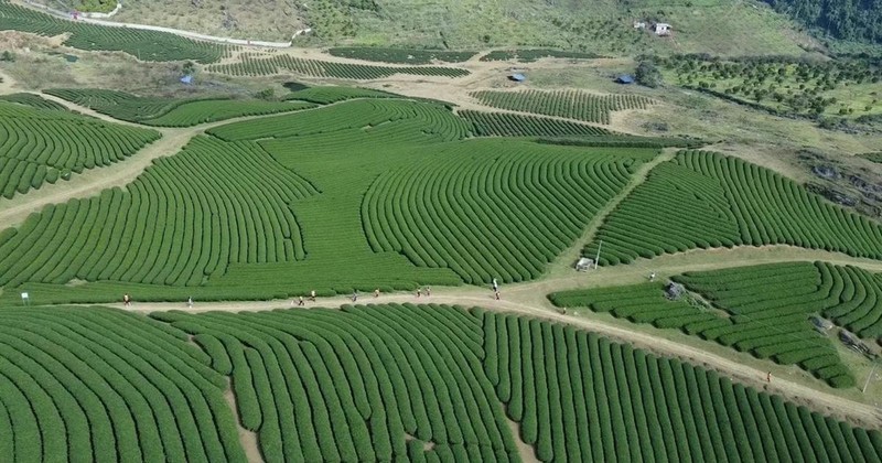 Un rincón de la Zona Turística Nacional de Moc Chau. (Fotografía: VNA)