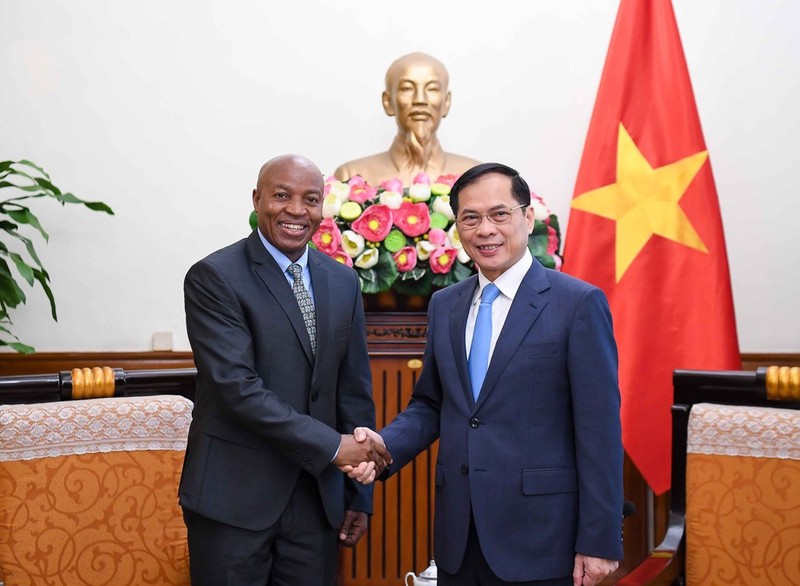 El vice primer ministro y titular de Relaciones Exteriores de Vietnam, Bui Thanh Son, sostiene una reunión con el viceministro de Asuntos Exteriores y Cooperación de Tanzania, Cosato David Chumi. (Fotografía: VNA)