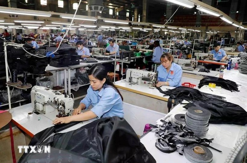 Productos de bolsos de cuero vietnamita para consumo interno y exportación. (Fotografía: VNA)