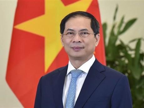 El ministro de Relaciones Exteriores, Bui Thanh Son. (Fotografía: VNA)