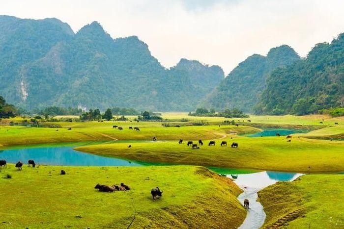 Los bellos pastizales de Dong Lam se consideran la “Mongolia de Vietnam”.