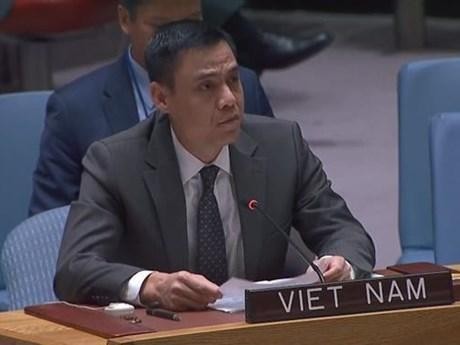 El embajador Dang Hoang Giang, jefe de la misión de Vietnam ante la ONU. (Fotografía: VNA)
