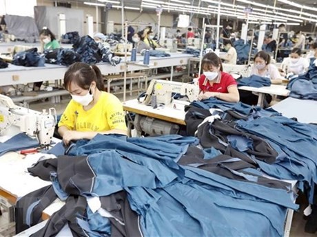 Producción de prendas de vestir para las exportaciones. (Fotografía: VNA)