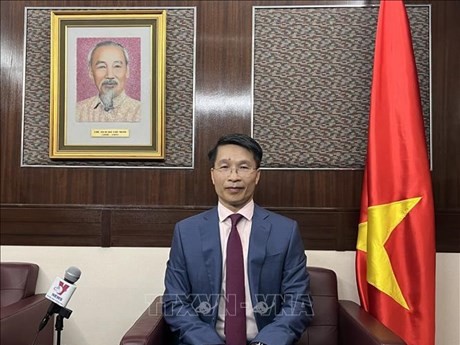 El cónsul general de Vietnam en Hong Kong (China), Pham Binh Dam. (Fotografía: VNA)