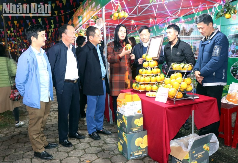 Inauguran en ciudad de Ha Tinh Festival de Naranjas.