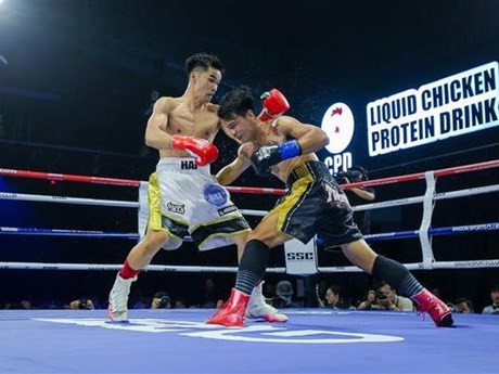 Boxeador Nguyen Ngoc Hai (guantes rojos) en el partido. (Fotografía: VNA)