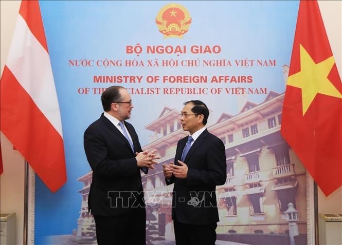 El ministro de Relaciones Exteriores de Vietnam, Bui Thanh Son, y su homólogo austriaco, Alexander Schallenberg. (Fotografía: VNA)
