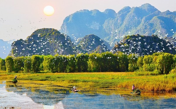 Un rincón de la laguna Van Long. (Fotografía: Kinhtemoitruong.vn)