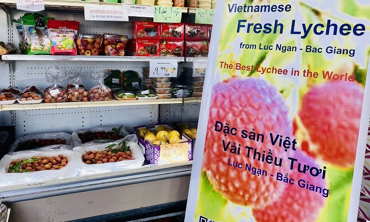 Venden en Estados Unidos lichis vietnamitas. (Fotografía: LNS)