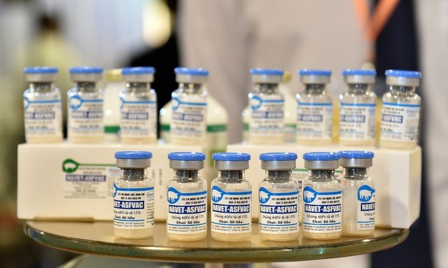 La vacuna contra peste porcina africana NAVET-ASFVAC de la empresa Navetco. (Fotografía: VGP)