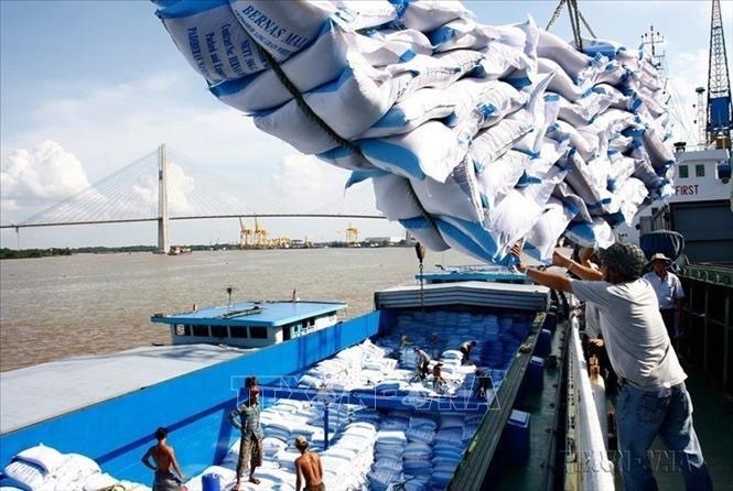 Descarga de arroz para exportación en el puerto de Saigón. (Fotografía: VNA)