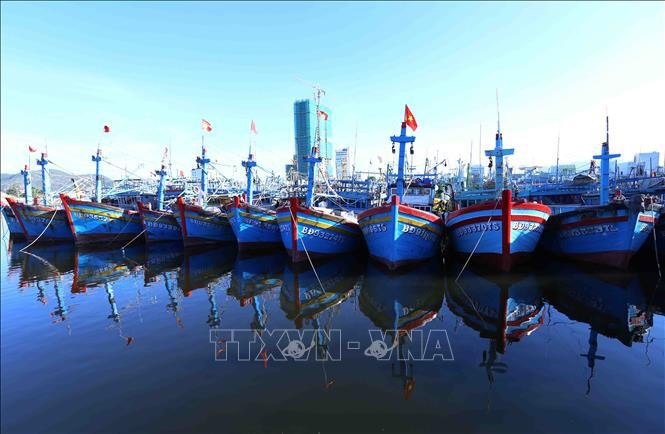 Barcos de los pesqueros de la provincia de Binh Dinh. (Fotografía: VNA)