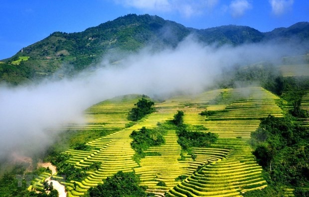 Terrazas de arroz en Sa Pa. (Fotografía: VNA)