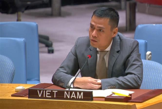 El embajador Dang Hoang Giang, jefe de la Misión permanente de Vietnam ante las Naciones Unidas. (Fotografía: VNA)