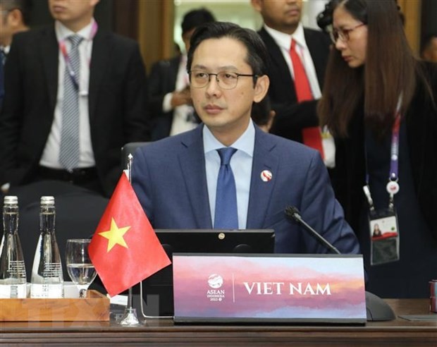 El viceministro de Relaciones Exteriores de Vietnam Do Hung Viet. (Fotografía: VNA)