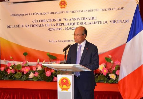 El embajador de Vietnam en Francia, Dinh Toan Thang. (Fotografía: VNA)