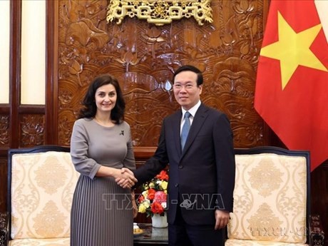 El presidente Vo Van Thuong recibió el 6 de junio de 2023 a la embajadora de Bulgaria en Vietnam, Marinela Petkova, quien terminó su mandato de trabajo en el país. (Fotografía: VNA)