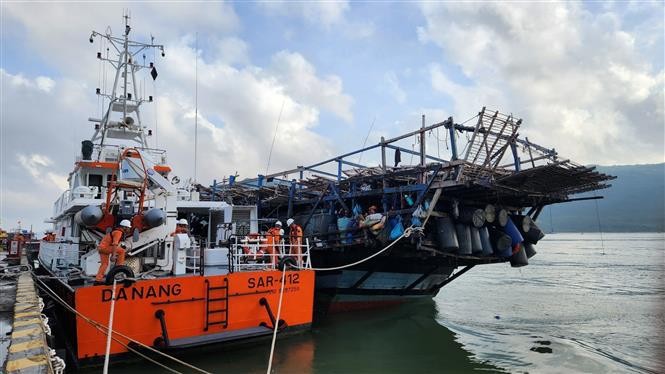 El barco SAR 412 remolca al barco pesquero accidentado a la costa de forma segura. (Fotografía: VNA)