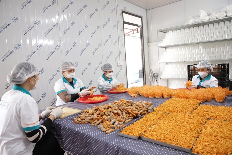 Bac Giang desarrolla marcas de productos agrícolas claves. (Fotografía: baobacgiang.vn)