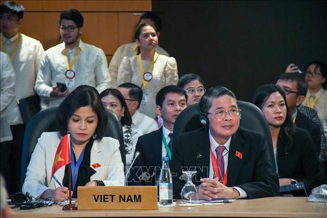 El vicepresidente de la Asamblea Nacional de Vietnam Nguyen Duc Hai en la reunión del comité ejecutivo del APPF-31. (Fotografía: VNA)