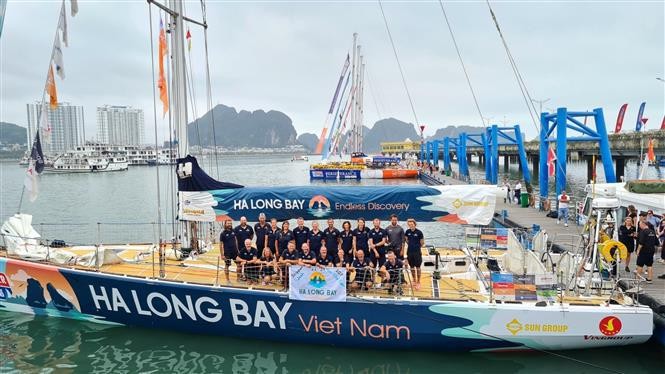Clipper Race: Vietnam atraca en puerto de cruceros Ha Long en quinto lugar. (Fotografía: VNA)