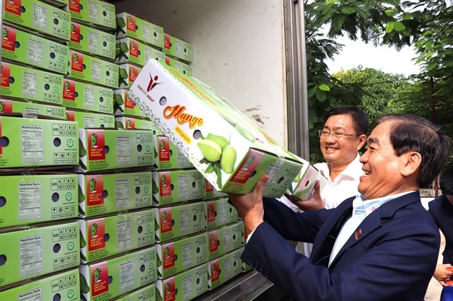 Estados Unidos importó el año pasado principalmente mangos frescos y congelados de Vietnam. (Fotografía: VNS)