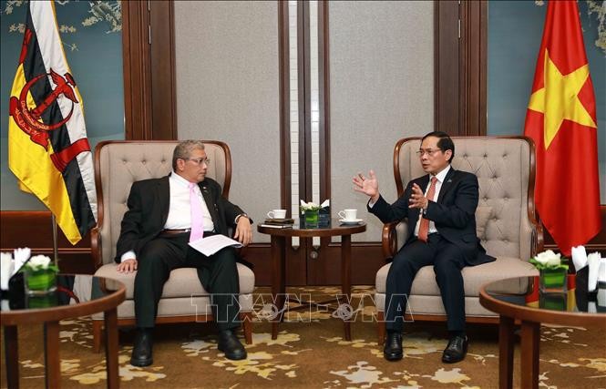 El canciller de Vietnam, Bui Thanh Son, con el segundo ministro de Asuntos Exteriores de Brunéi, Dato Pehin Erywan Yusof. (Fotografía: VNA)
