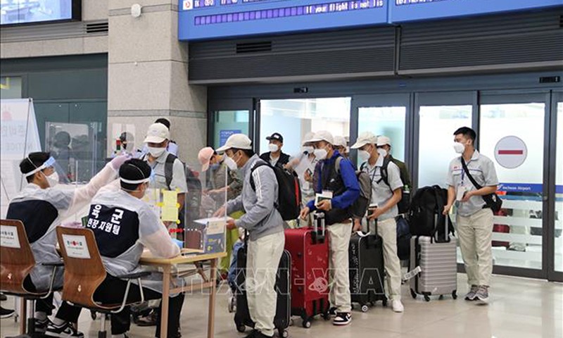 Trabajadores vietnamitas pasan por procedimientos de inmigración en el aeropuerto de Incheon, Corea del Sur. (Fotografía: de ilustración: VNA)