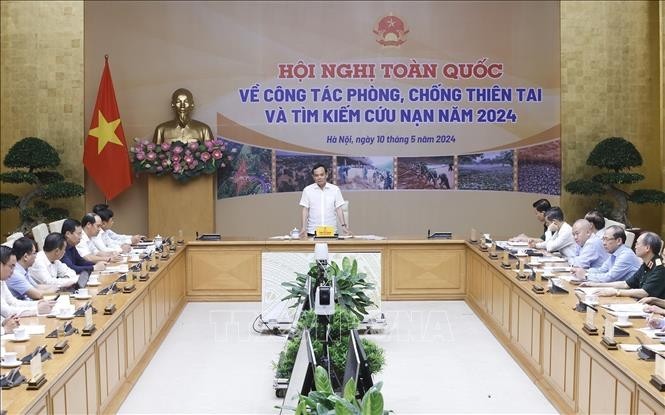 El viceprimer ministro de Vietnam Tran Luu Quang preside la reunión. (Fotografía: VNA)