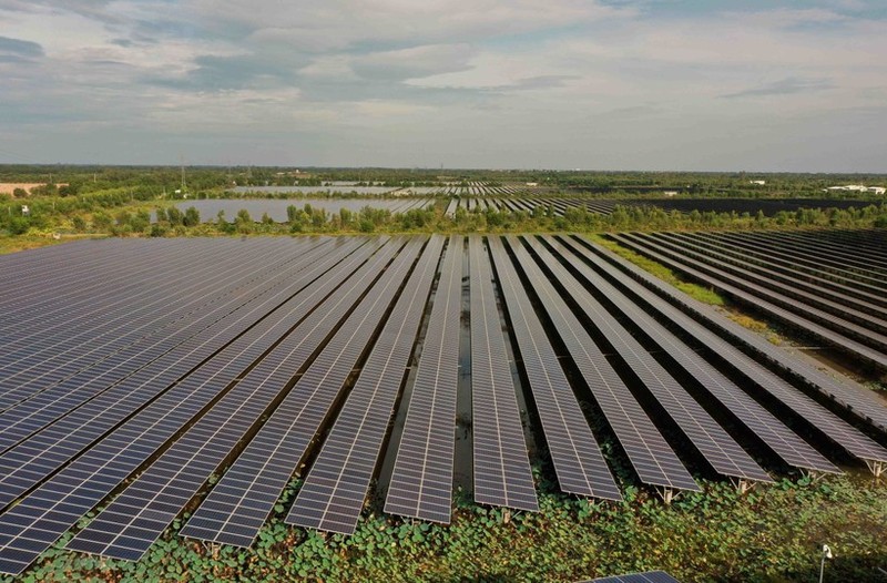 La planta de energía solar Europlast Long An en la comuna de My Thanh Bac, distrito de Duc Hue, provincia de Long An, tiene una superficie de más de 58 hectáreas, con 151.421 paneles solares instalados. (Fotografía: VNA)
