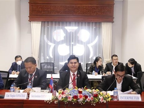 Delegación laosiana (Fotografía: VNA)