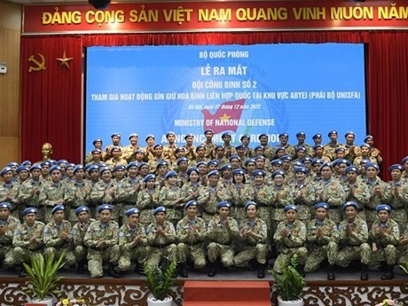 Miembros de segundo grupo de ingenieros militares (Fotografía: VNA)
