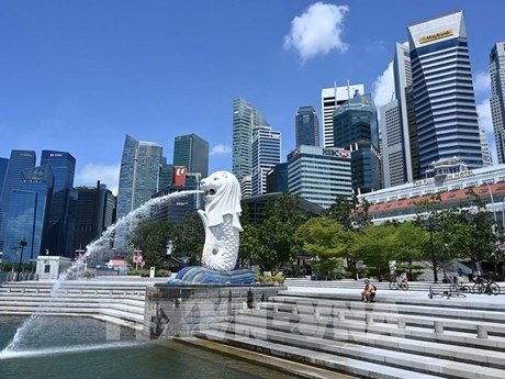 En Singapur (Fotografía:AFP/VNA)