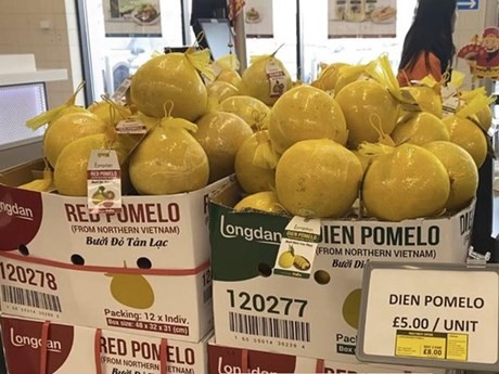 Pomelos Dien en un supermercado en Londres (Fotografía: VNA)